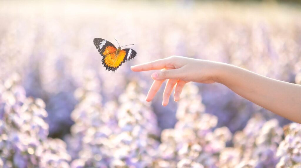 Utilisez les sphères de vie pour réorganiser les différents aspects de votre vie